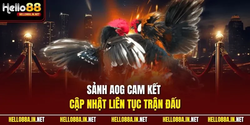 Sảnh AOG cam kết cập nhật liên tục trận đấu