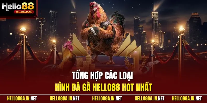 Tổng hợp các loại hình đá gà HELLO88 hot nhất
